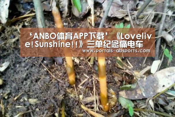 ‘ANBO体育APP下载’《Lovelive!Sunshine!!》三单纪念痛电车伊豆箱根4月8日开始运行(图2) 安博最新版